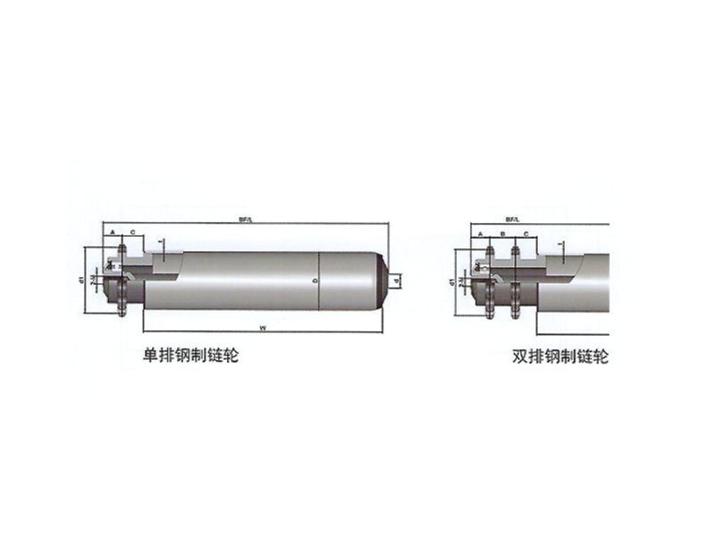 中負(fù)荷鋼制單/雙鏈輸送輥筒